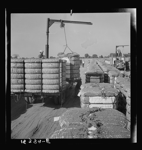 Untitled photo, possibly related to: Weighing baled cotton as it leaves the gin. Kaweah Delta Cooperative gin, Tulare County, California