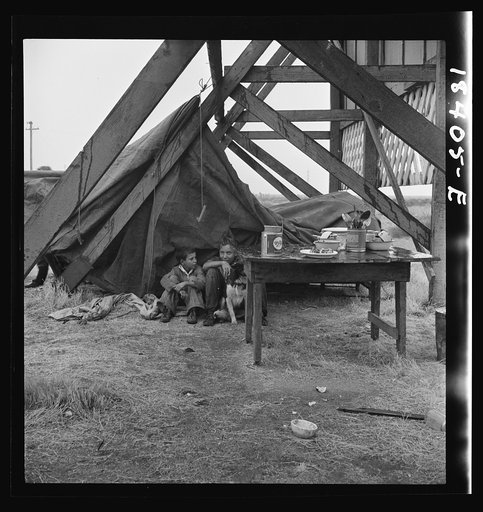 Untitled photo, possibly related to: One of three families camped behind a billboard on U.S. 99. Kern County, California
