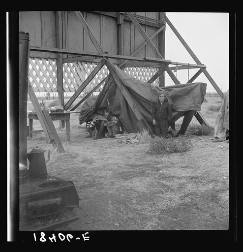 One of three families camped behind a billboard on U.S. 99. Kern County, California