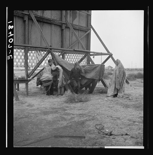 Untitled photo, possibly related to: One of three families camped behind a billboard on U.S. 99. Kern County, California