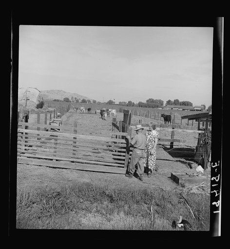 Untitled photo, possibly related to: Rural rehabilitation, Tulare County, California. This farm couple have been assisted to independence. In Feburary 1936 they rented a neglected farm of forty acres planted in grapes. They had no equipment, no stock, no seed, no money. Farm Security Administration 