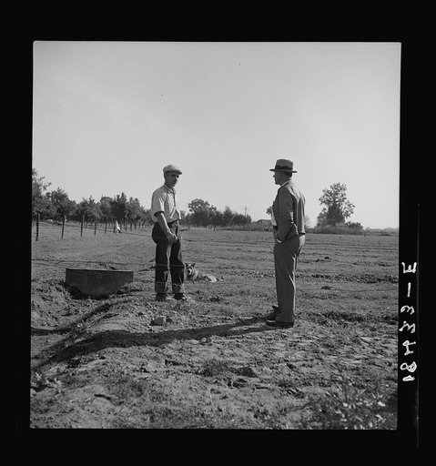 Farm Security Administration rehabilitation client showing county supervisor the pasture on his farm. Tulare County, California