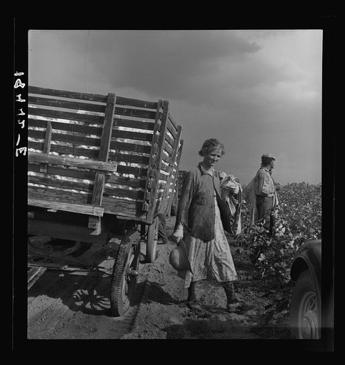 Migratory cotton pickers have stopped working because it started to rain.  Kern County, California