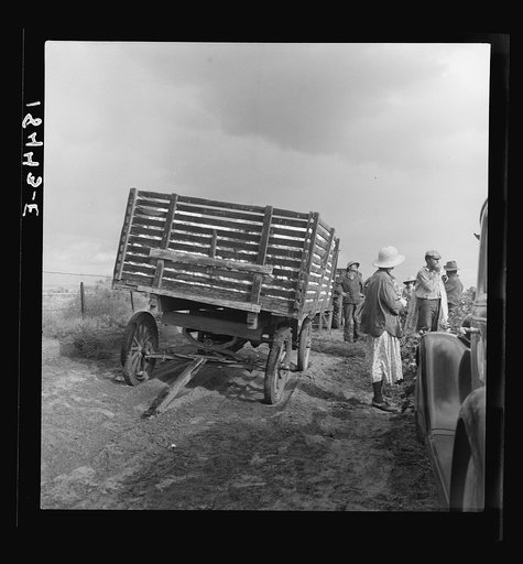 Migratory cotton pickers have stopped working because it started to rain.  Kern County, California