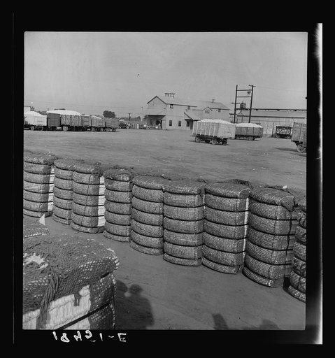 Untitled photo, possibly related to: Kaweah Delta Cooperative gin and yard. There are three such cooperatives in the southern California cotton industry. Tulare County, California