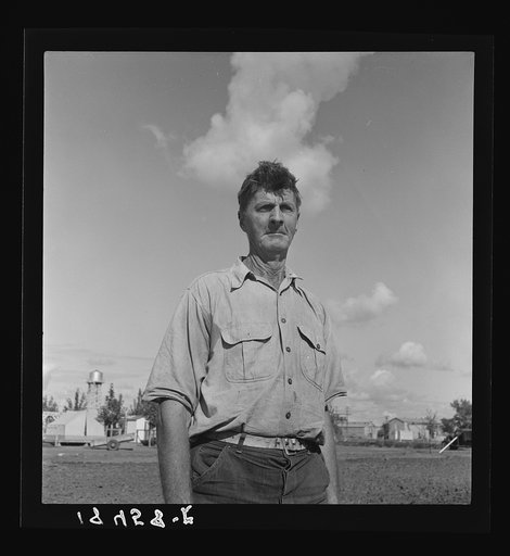 Untitled photo, possibly related to: Industrialized agriculture. From Texas farmer to migratory worker in California. Kern County
