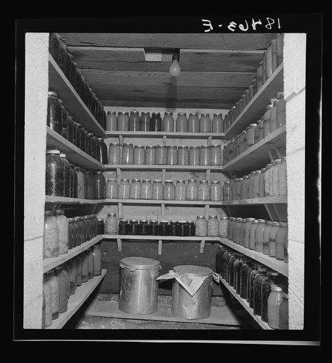 Rural rehabilitation under farm plan of the Farm Security Administration supervisor. This family produces much of their own food. They were formerly on relief. Tulare County, California