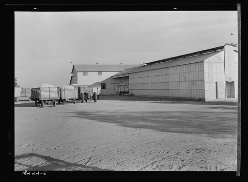 Untitled photo, possibly related to: Tulare cooperative cotton gin, Tulare County, California. There are three such cooperatives in the southern California cotton industry