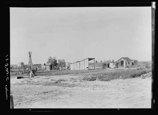 Untitled photo, possibly related to: This family from Arkansas had one thousand dollras when they arrived in California. There are eleven children in family. They bought a forty acre piece of land on which they still owe one thousand dollars. A Farm Security Administration (FSA) loan bought them dai