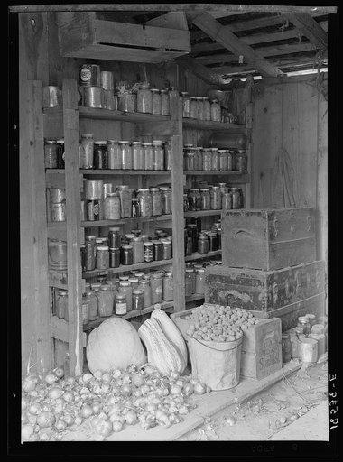 Rural rehabilitation, Tulare County, California. This family had been on relief. They are now re-established on a small farm, where their cash outlay for food is about two dollars and fifty cents a week for a family of seven
