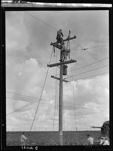 Untitled photo, possibly related to: Rural electrification. San Joaquin Valley, California