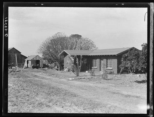 Rural rehabilitation, Tulare County, California. In 1936 this family was on relief. With a Farm Security Administration (FSA) loan of seven hundred and eighty dollars, they were able to purchase and install an irrigating pump for the vineyard, a team, and the balance gave them subsistence and operat