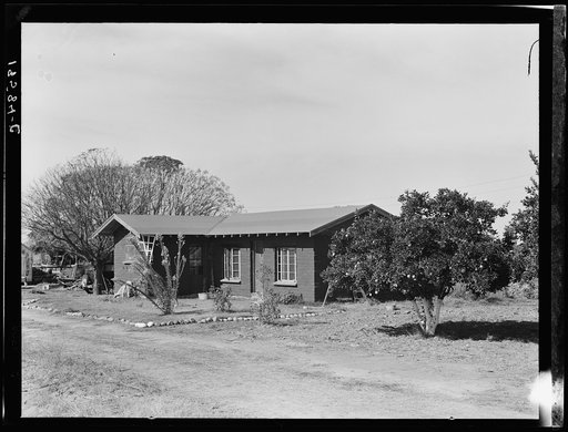 Rural rehabilitation, Tulare County, California. In 1936 this family was on relief. With a Farm Security Administration (FSA) loan of seven hundred and eighty dollars, they were able to purchase and install an irrigating pump for the vineyard, a team, and the balance gave them subsistence and operat