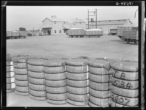 Untitled photo, possibly related to: Kaweah Delta Cooperative cotton gin and yard. Tulare County, California. There are three such cooperatives in the southern cotton industry