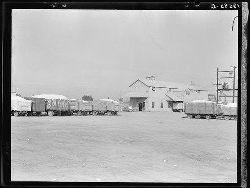 Untitled photo, possibly related to: Kaweah Delta Cooperative cotton gin and yard. Tulare County, California. There are three such cooperatives in the southern cotton industry