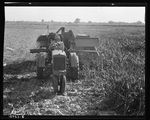 Twenty-four clients of Farm Security Administration (FSA) under the Rural Rehabilitation program, have cooperatively bought and cooperatively operated an all-crop harvester. The machine was put into operation June 7, 1938. Has to date (Nov. 3, 1938) served on sixty harvesting jobs in wheat, barley, 