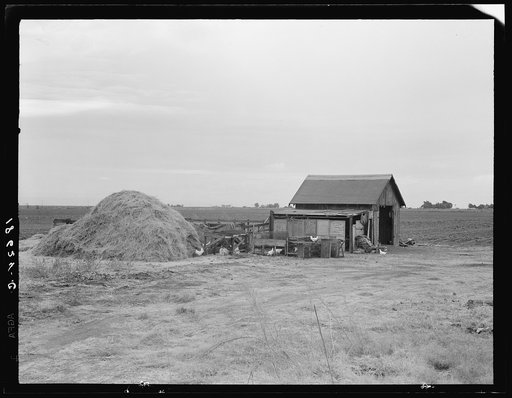 Small farm. Kern County, California