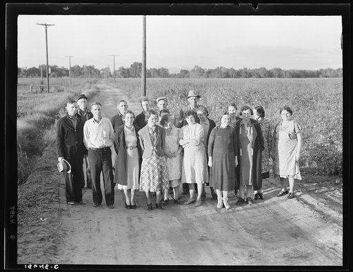 Ten families have been established by the Farm Security Administration (FSA) on the Mineral King Cooperative Farm, an old ranch of 500 acres, which they will operate as a farm unit, raising cotton, alfalfa, and dairy products for cash crops. Tulare County, California