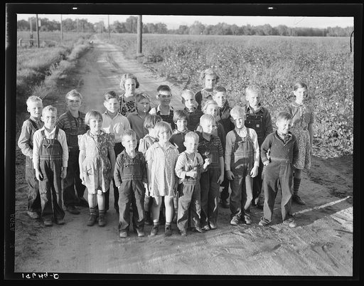 Ten families have been established by the Farm Security Administration (FSA) on the Mineral King Cooperative Farm, an old ranch of 500 acres, which they will operate as a farm unit, raising cotton, alfalfa, and dairy products for cash crops. Tulare County, California