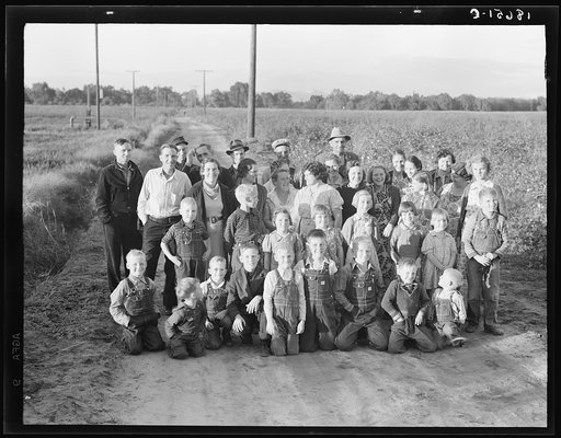 Visalia (vicinity), Tulare County, California. The Farm Security Administration. Miners's cooperative farm. Ten families have been established on the old ranch of 500 acres, which they operate as a farm unit, raising cotton alfalfa and dairy products for cash crops