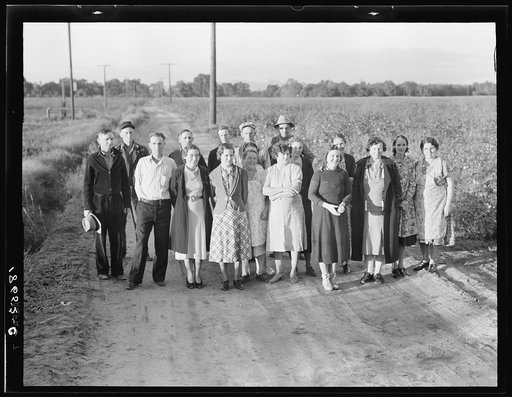 Untitled photo, possibly related to: Ten families have been established by the Farm Security Administration (FSA) on the Mineral King Cooperative Farm, an old ranch of 500 acres, which they will operate as a farm unit, raising cotton, alfalfa, and dairy products for cash crops. Tulare County, Califo