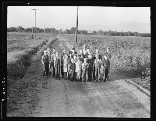 Untitled photo, possibly related to: Ten families have been established by the Farm Security Administration (FSA) on the Mineral King Cooperative Farm, an old ranch of 500 acres, which they will operate as a farm unit, raising cotton, alfalfa, and dairy products for cash crops. Tulare County, Califo
