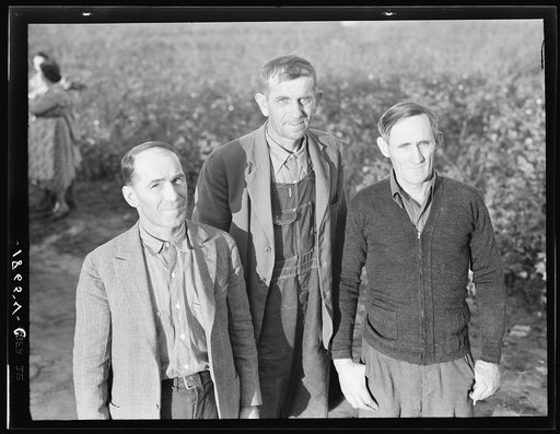 These three men comprise the board of directors of the Mineral King Farm Association, Tulare County, California. They were elected by their own group to direct this farm unit