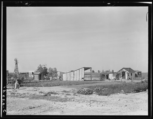 This family from Arkansas had one thousand dollras when they arrived in California. There are eleven children in family. They bought a forty acre piece of land on which they still owe one thousand dollars. A Farm Security Administration (FSA) loan bought them dairy cows, an irrigation plant, and see