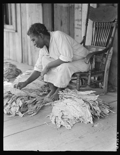 Untitled photo, possibly related to: Near Douglas, Georgia. "You don't have to worriate so much and you've got time to raise somp'n to eat." The program to eliminate the risk and uncertainty of a one-crop system meets the approval of this sharecropper. She sits on the porch and sorts tobacco