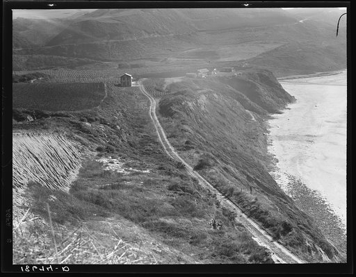 Near Half Moon Bay, California coast. Artichoke farms reach to the water's edge