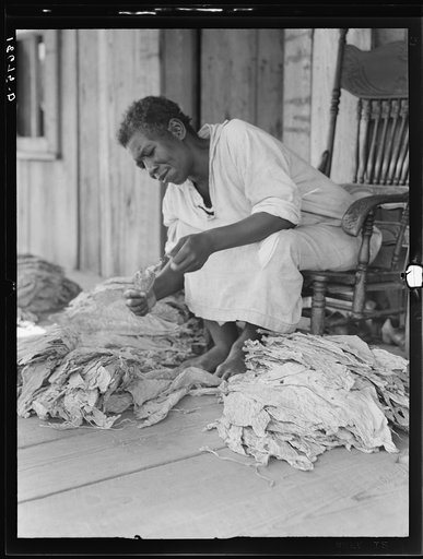 Near Douglas, Georgia. "You don't have to worriate so much and you've got time to raise somp'n to eat." The program to eliminate the risk and uncertainty of a one-crop system meets the approval of this sharecropper. She sits on the porch and sorts tobacco