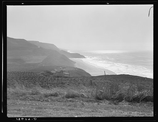 Untitled photo, possibly related to: Near Half Moon Bay, California coast. Artichoke farms reach to the water's edge