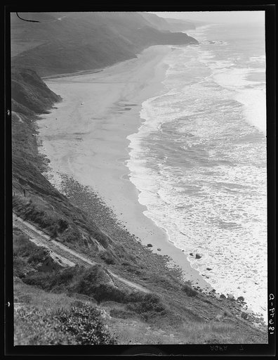 Untitled photo, possibly related to: Near Half Moon Bay, California coast. Artichokes are grown along here