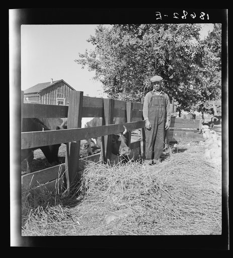 William Dimotakis on his farm in Manceca, California