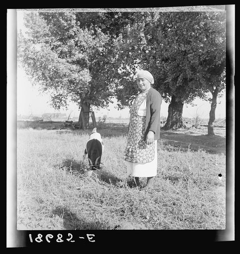 Mary Dimotakis feeding the goat