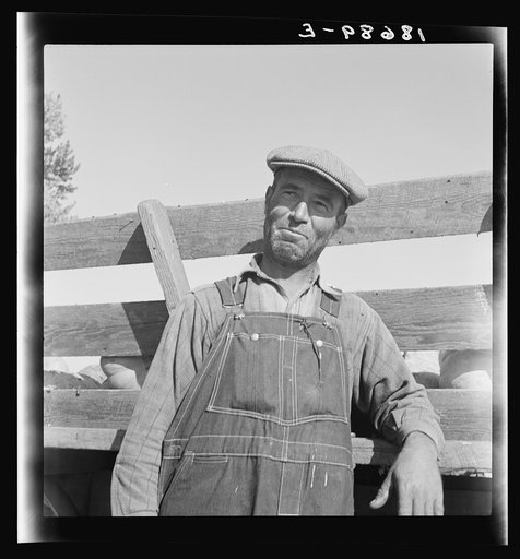 William Dimotakis on his farm in Manteca, California