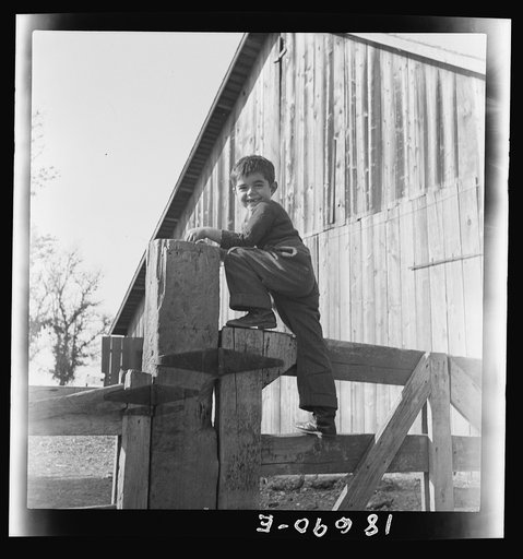 George Dimotakis at barn on his family farm, Manteca, California