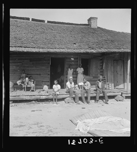 Near Tifton, Georgia. Tobacco farms, like Southern cotton farms, carry a heavy surplus which they employ at seasonal peaks