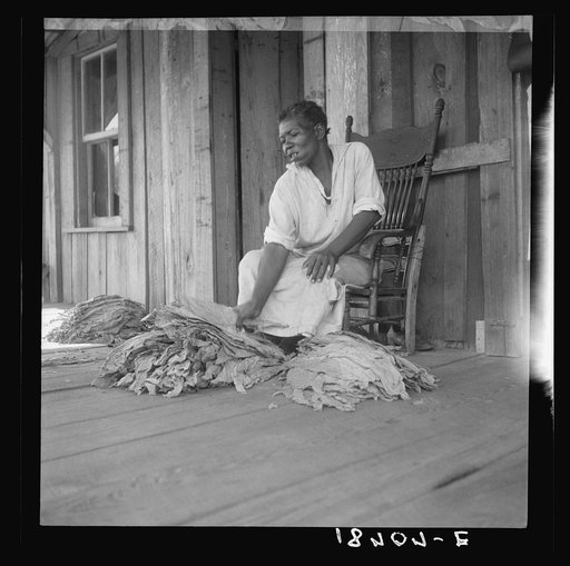 Untitled photo, possibly related to: Near Douglas, Georgia. Sharecroppers grade the cured leaves on the porches and sort them to go to the tobacco auction