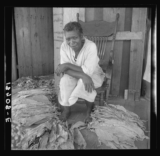 Untitled photo, possibly related to: Near Douglas, Georgia. Sharecroppers grade the cured leaves on the porches and sort them to go to the tobacco auction