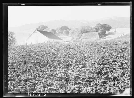Contra Costa County, California. Stock ranch and plowed field