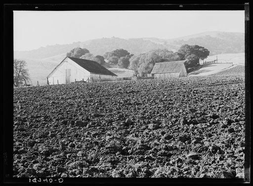 Untitled photo, possibly related to: Contra Costa County, California. Stock ranch and plowed field