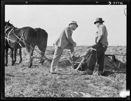 Untitled photo, possibly related to: Near Stockton, California. November 17, 1938. One of six successful applicants out of seventy-five. Purchasing farm under Bankhead Jones Act. "When a feller is in for himself, if he makes it, it's his. If he don't make it, it's his fault alone." (Tenant Purchase)