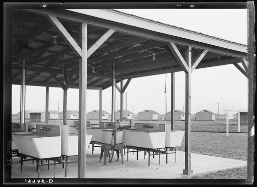 Laundry facilities at Westley camp for migratory labor. San Joaquin Valley, California