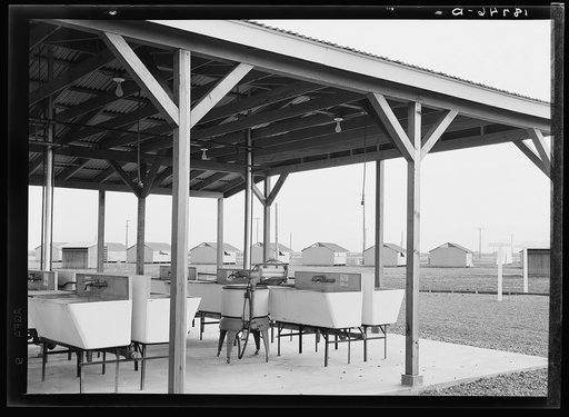 Untitled photo, possibly related to: Laundry facilities at Westley camp for migratory labor. San Joaquin Valley, California