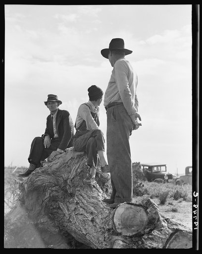 Near Shafter, California. Migratory laborers