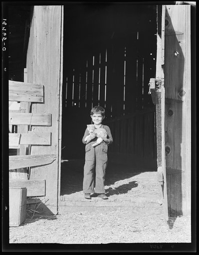 George Dimotakis at barn on his family farm, Manteca, California