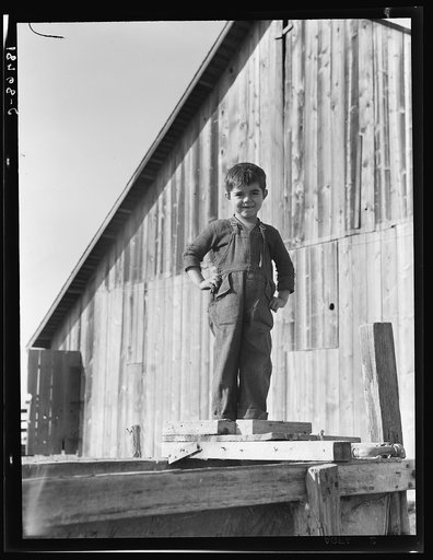 George Dimotakis at barn on his family farm, Manteca, California