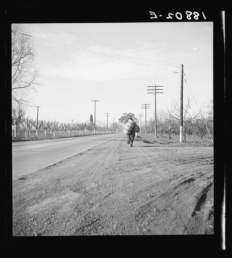 Napa Valley, California. More than twenty-five years a bindle-stiff. Walks from the mines to the lumber camps to the farms. The type that formed the backbone of the Industrial Workers of the World in California before the war. Subject of Carleton Parker's studies on Industrial Workers of the World
