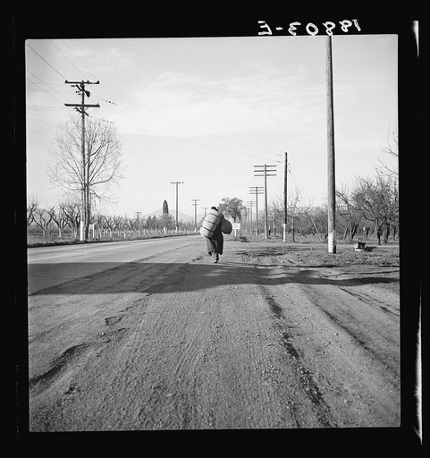 Untitled photo, possibly related to: Napa Valley, California. More than twenty-five years a bindle-stiff. Walks from the mines to the lumber camps to the farms. The type that formed the backbone of the Industrial Workers of the World (IWW) in California before the war. Subject of Carleton Parker's "